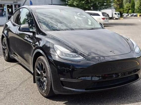 TESLA MODEL Y 2021 5YJYGDED4MF115872 image